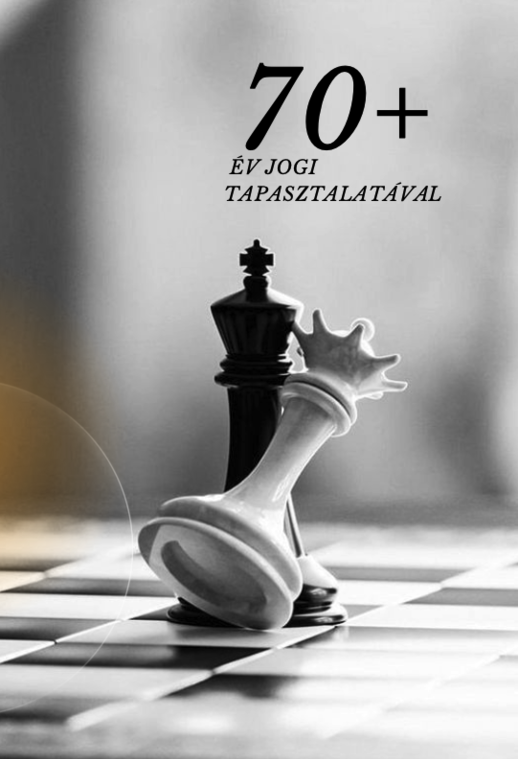 K�p: EGY DINASZTIA A JOGI �RDEKV�DELEM MELLETT